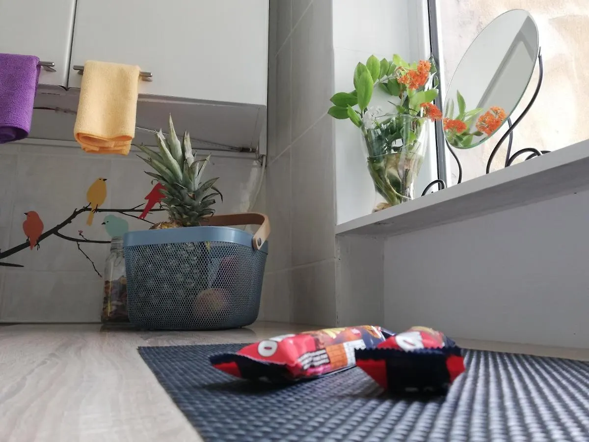 Bohemian Apartment By Calea Victoriei Bucharest Romania